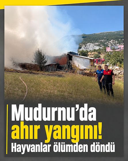 Mudurnu'da ahır ve samanlık alevlere teslim oldu! Hayvanlar son anda kurtarıldı