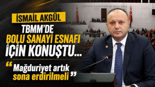 İsmail Akgül TBMM'de Bolu sanayi esnafının mağduriyetini gündeme taşıdı