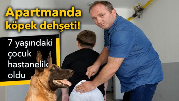 7 yaşındaki çocuğa köpek dehşeti! Annenin duyduğu sözler şoke etti