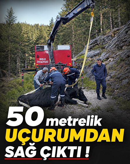 50 metrelik uçurumdan sağ çıktı! İtfaiye zamana karşı yarıştı