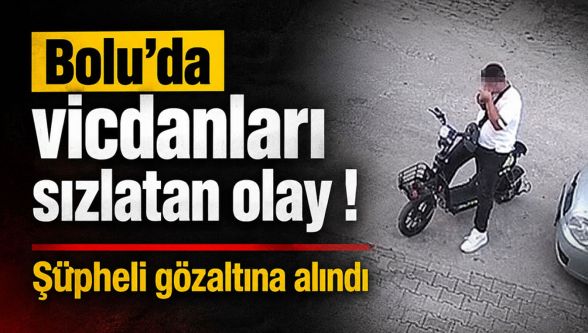 Yavru kediyi önce sevdi, sonra boğarak öldürdü! Kan donduran olayda şüpheli yakalandı
