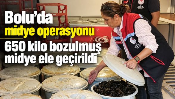 Bolu'da halk sağlığını tehdit eden midye operasyonu: 650 kilo ele geçirildi