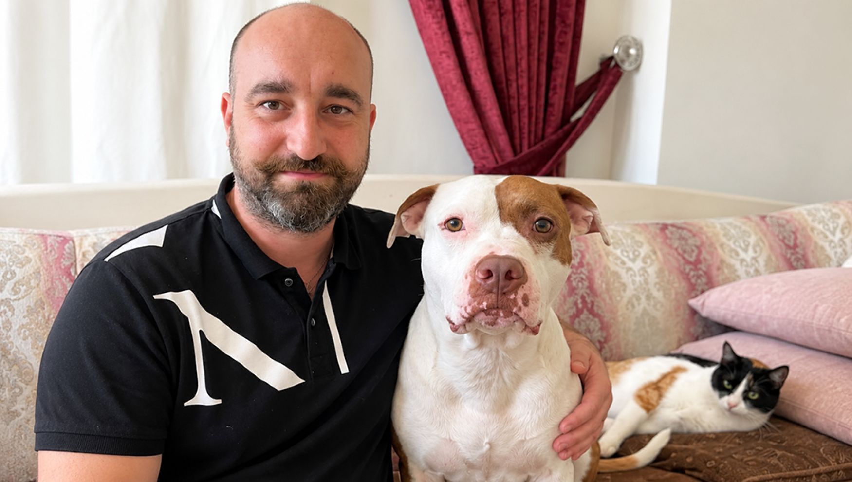 Bolu'da pitbull yavru kedilere annelik yapıyor