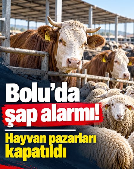 Bolu'da şap alarmı: Hayvan pazarları kapatıldı
