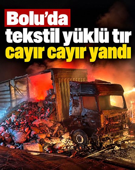 Bolu'da TEM Otoyolu'nda tekstil yüklü tır alevlere teslim oldu