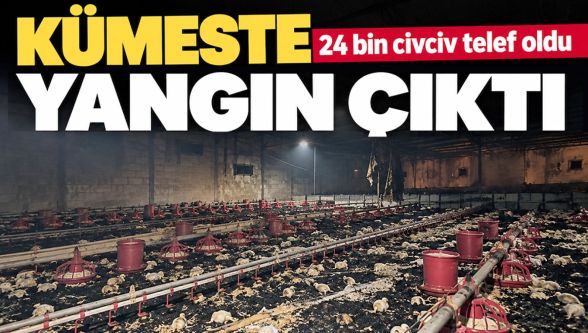 Göynük'te kümeste yangın: 24 bin civciv telef oldu