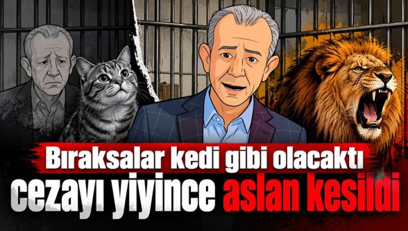 Duruşmada kedi, sosyal medyada aslan! Tanju Özcan'dan ceza sonrası sert çıkış